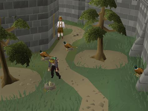 osrs pheasent egg|New Pheasant Control Event Forestry Part 2 Explained .